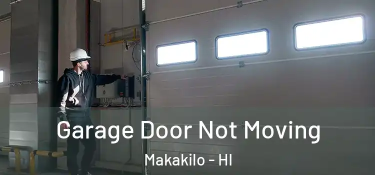  Garage Door Not Moving Makakilo - HI