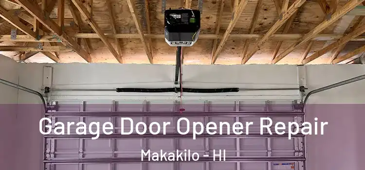  Garage Door Opener Repair Makakilo - HI
