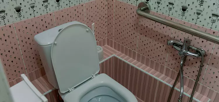 Meeting Diverse Needs With Accessible Restroom Solutions in Makakilo, HI