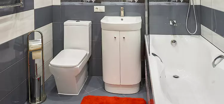 Hansgrohe Shaving Mirror Makakilo